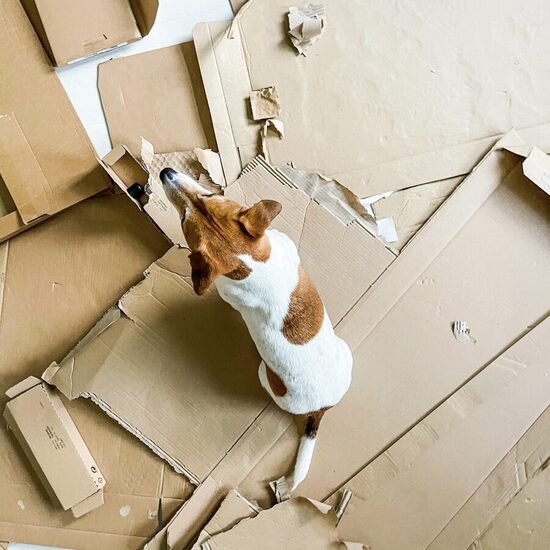 piegāde uz ārzemēm 17 EUR